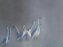Animaux